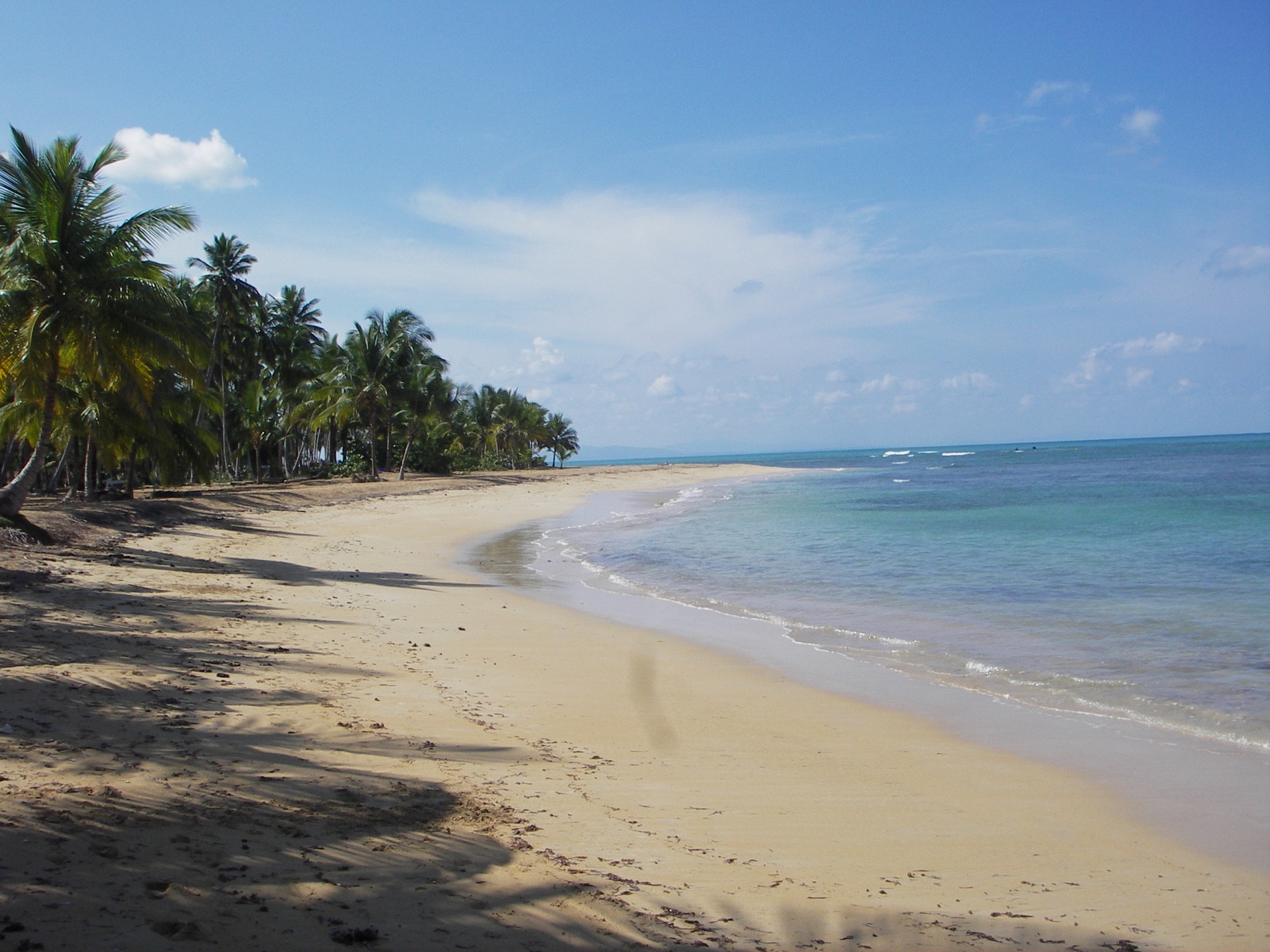 Dominican Republic beach with palms